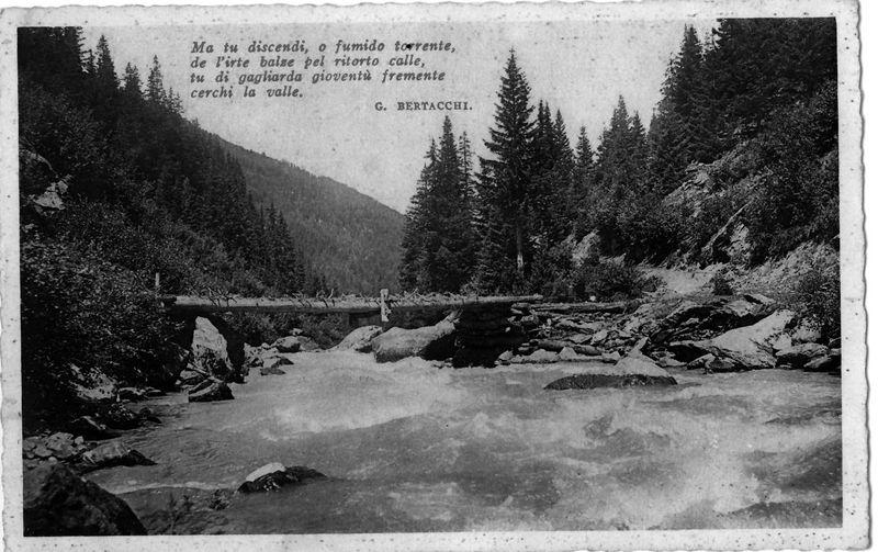 cartoline (43).jpg